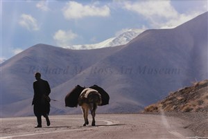 Image description is not available for 2009.073